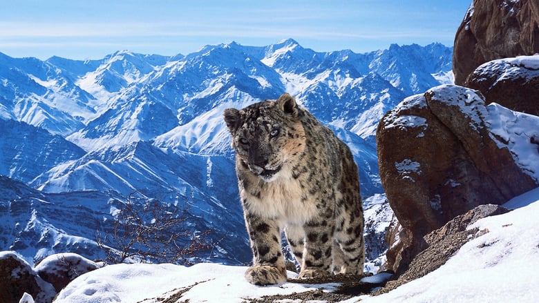 دانلود سریال Planet Earth II 2016 (سیاره‌ی زمین ۲)