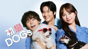 Love is for the Dogs