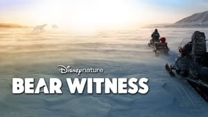 Bear Witness