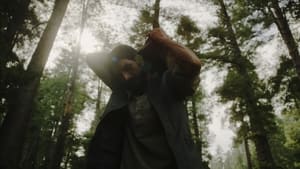 The Shepherdess and the Seven Songs