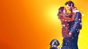 A Furry Little Christmas