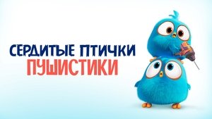 Angry Birds Blues