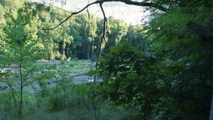 Troy: The Resurrection of Aeneas