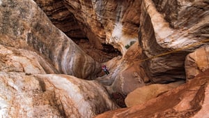 Into the Grand Canyon