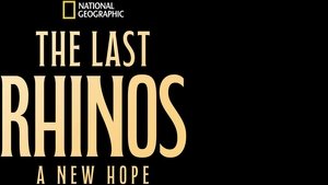 The Last Rhinos: A New Hope