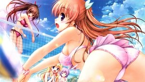 A Good Librarian Like a Good Shepherd