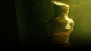 The Dictator's Playbook