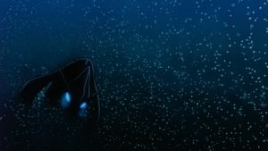 Pokémon: The Movie 2000