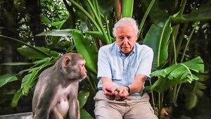 David Attenborough's Rise of Animals: Triumph of the Vertebrates