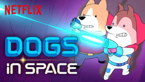 Dogs in Space