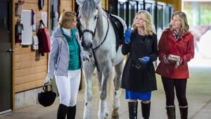 Murder, She Baked: A Plum Pudding Mystery