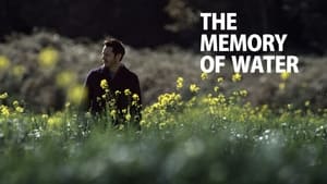 The Memory of Water