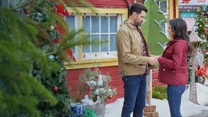 You, Me and the Christmas Trees