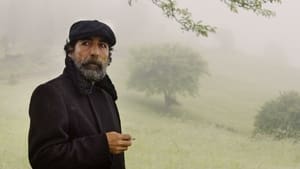 Memories of the Wind