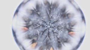 Nothing Lasts Forever