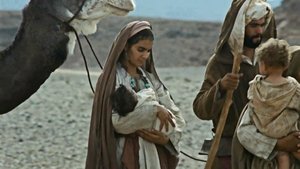 Genesis: The Creation and the Flood