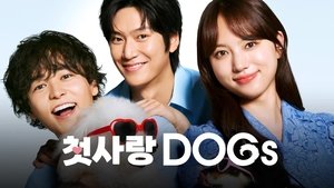 Love is for the Dogs