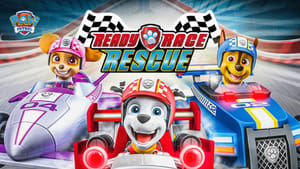 PAW Patrol: Ready, Race, Rescue!