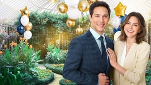 A New Year's Resolution