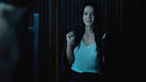The Guest