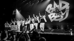 Can't Stop, Won't Stop: A Bad Boy Story