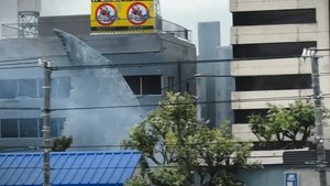 Hot Spring Shark Attack