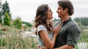 Love Stories in Sunflower Valley