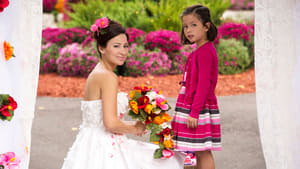 The Good Witch's Wonder