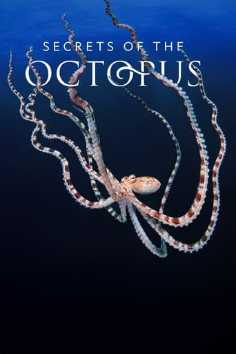دانلود سریال Secrets of the Octopus 2024 (اسرار اختاپوس)