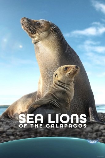 دانلود فیلم Sea Lions of the Galapagos 2025 (شیرهای گالاپاگوس)