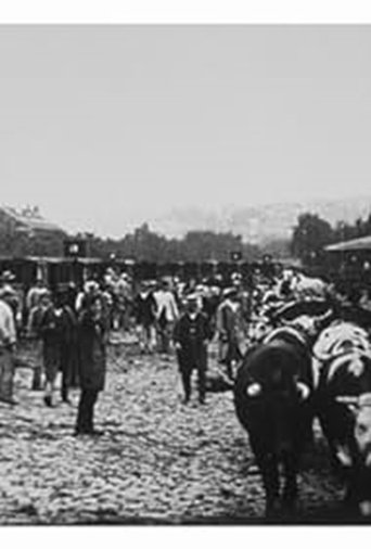 دانلود فیلم Marché aux boeufs, I 1897
