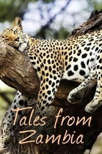 دانلود سریال Tales from Zambia 2016