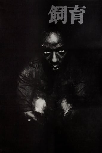 دانلود فیلم The Catch 1961 (کچ)