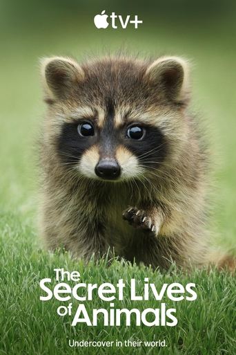 دانلود سریال The Secret Lives of Animals 2024 (زندگی‌های پنهان حیوانات)