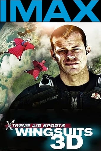 دانلود فیلم Wingsuit Warrior 2013