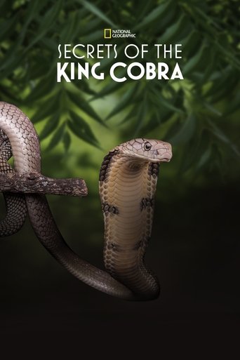 دانلود فیلم Secrets of the King Cobra 2010