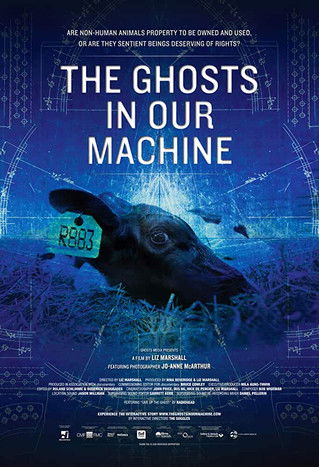 دانلود فیلم The Ghosts in Our Machine 2013