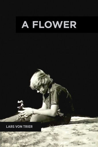 دانلود فیلم A Flower 1971