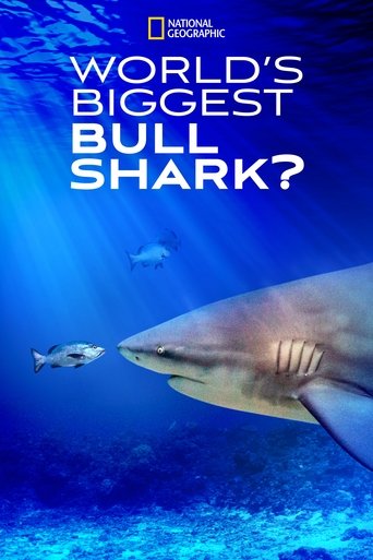دانلود فیلم World's Biggest Bull Shark? 2021