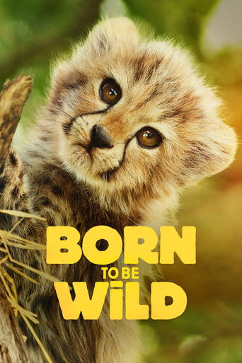 دانلود سریال Born to Be Wild 2025