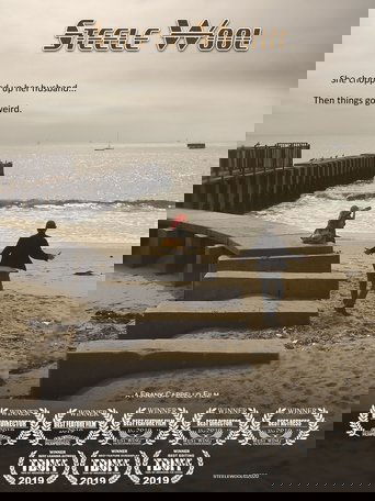 دانلود فیلم Steele Wool 2019