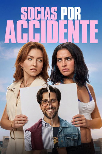 دانلود فیلم Accidental Partners 2026