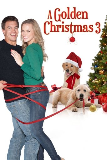 دانلود فیلم A Golden Christmas 3 2012