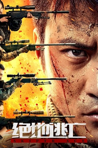 Skiptrace 2024