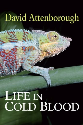 دانلود سریال Life in Cold Blood 2008