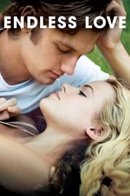 دانلود فیلم Endless Love 2014