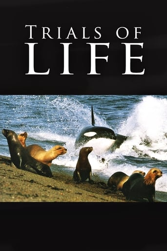 دانلود سریال Trials of Life 1990