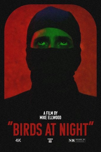 دانلود فیلم Birds at Night 2023