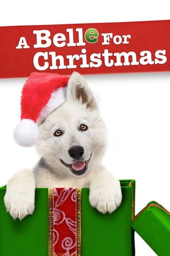 دانلود فیلم A Belle for Christmas 2014