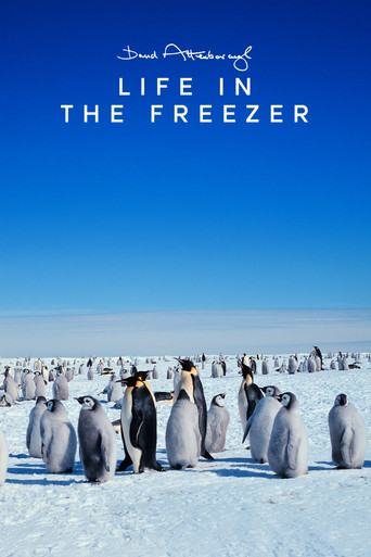 دانلود سریال Life in the Freezer 1993